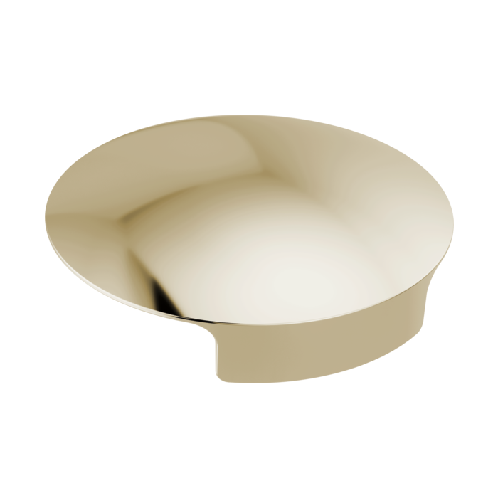 Delta RP101289PN Other: Glass Rinser Cover