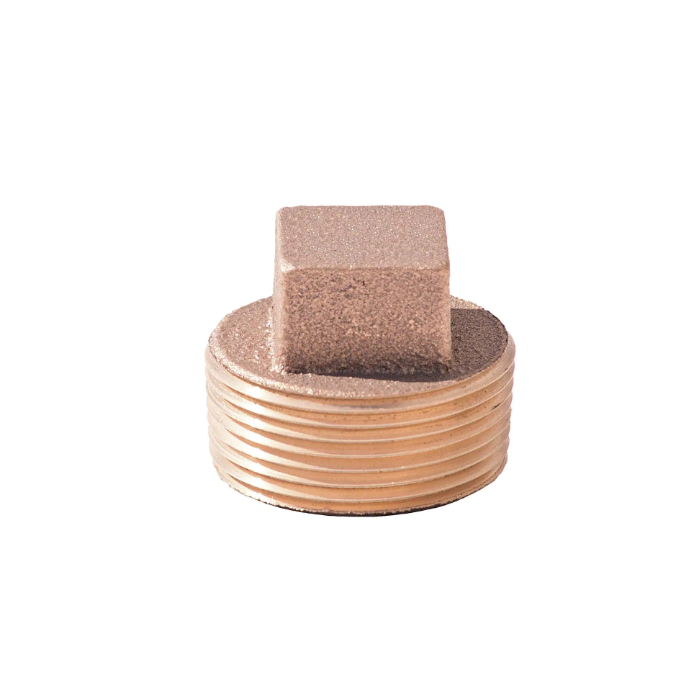 LF 2-1/2 BRS 125# CORED PLUG DOM