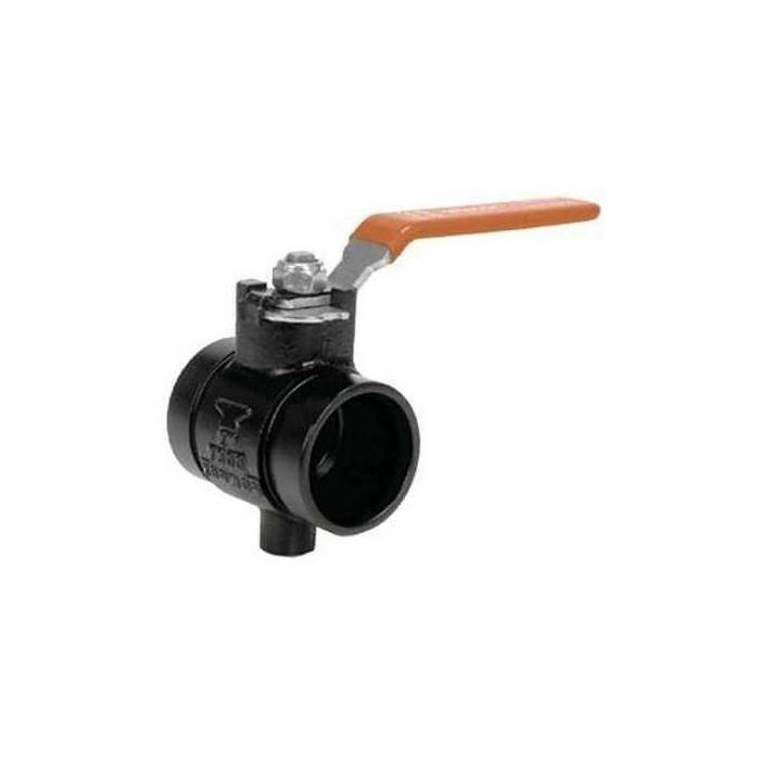 Anvil 7005011254 Butterfly Valve