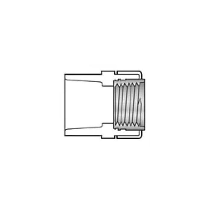Spears 835-007CSS 3/4 CPVC FEM ADAPTER SOCXSSFPT SCH80