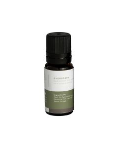 Mr.Steam 103812 AromaSteam Evergreen Essential Oil 10mL