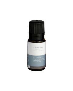 Mr.Steam 103813 AromaSteam Energizing Mint Essential Oil 10mL
