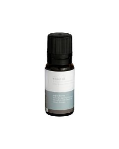 Mr.Steam 103814 AromaSteam Breathe Essential Oil 10mL