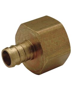 Zurn QQUFC55GX Non-Swivel Hose Adapter, 1 in Nominal, Barb x FNPT End Style, Brass, Import