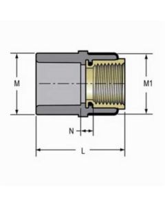 Spears 835-020CBR Standard Adapter With Brass Thread Insert, 2 in, SocketxFNPT, SCH 80/XH, CPVC, Domestic