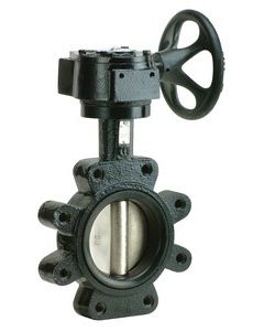 Matco V B5-LGG12S Lug Style Butterfly Valve, 12 in, Cast Iron Body