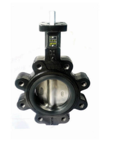 Apollo LD14102SE11A Butterfly Valve, With Lug, Size 2 Inch, Ductile Iron