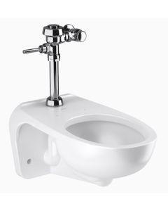 Sloan WETS2453.1001 ST-2459 Water Closet and Royal 111 Flushometer