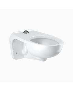 Sloan 2172450  St2459-Bpl-Stg Cl Asm Wm Ts Univ (2.0) Repair Parts & Accessoriess