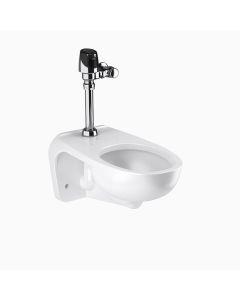 Sloan 24521201 Wets2452.1201 St2459 & Sol 8111-1.6/1.1 Flushometer